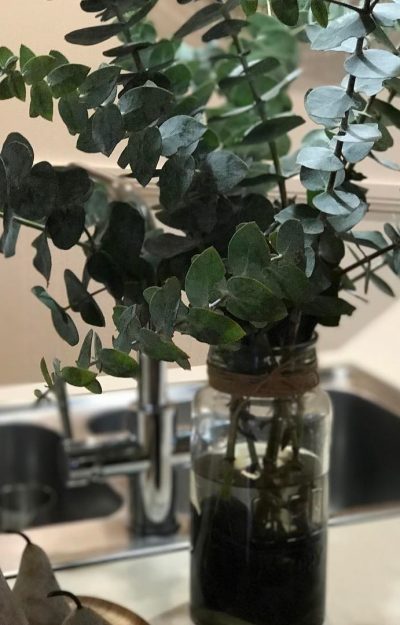 17438584_273543766424770_1927485785192267776_n